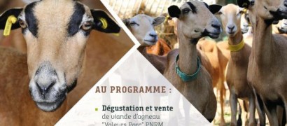 Valorisation de la viande d’agneau marqué, Valeurs Parc Naturel Regional de Martinique