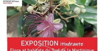 Exposition flore et habitats
