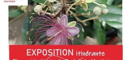 Exposition flore et habitats