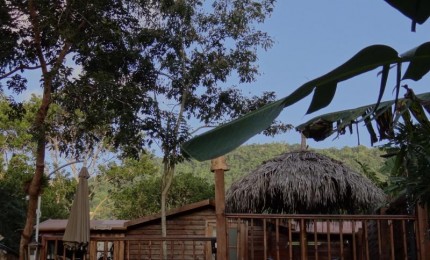 Cabane Rêve d'Enfant: perchée dans les arbres avec terrasse et jacuzzi privé